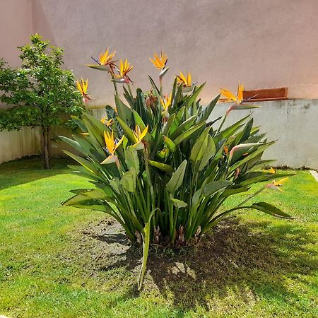 Вилла A Casa Da Avo Ana Arneiro das Milharicas Экстерьер фото